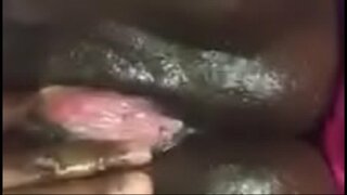 کھیل کی عقل خزانہ چاکلیٹ کے گیلے بلی